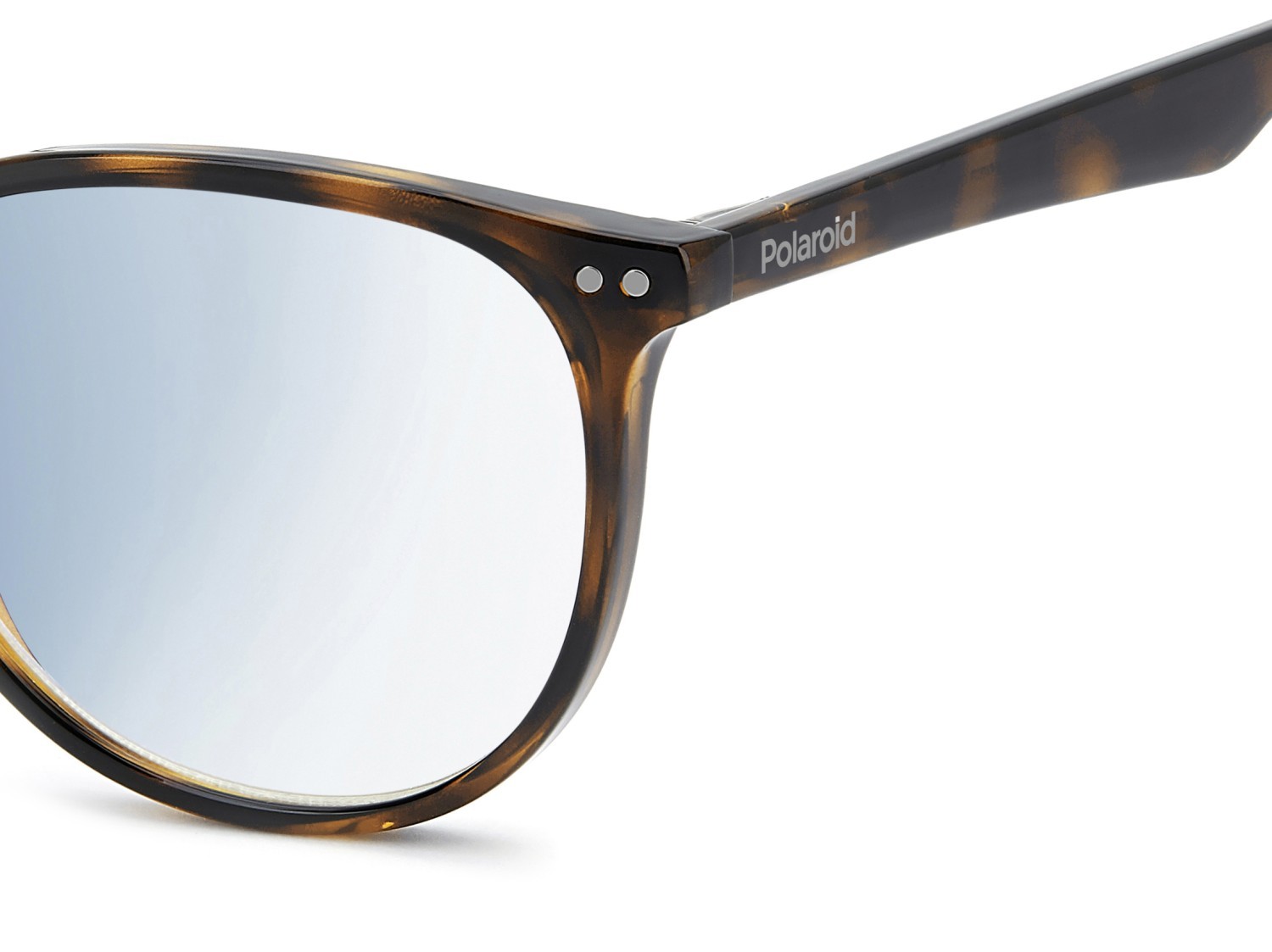 Lesebrille Polaroid Pld 0028/R 310268 086 farbe havana form pantos gläser blue absorber
