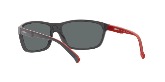 Sonnenbrillen Arnette El Carmen AN 4263 (275381) farbe gray form oval gläser polar gray