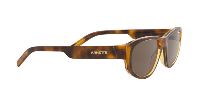 Sonnenbrillen Arnette Daemon AN 4269 (267573) farbe havana form unregelmäßig gläser brown