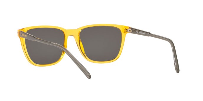 Occhiali da sole Arnette Cortex AN 4291 (27716G) colore transparent yellow forma quadrato lenti grey mirror silver 80