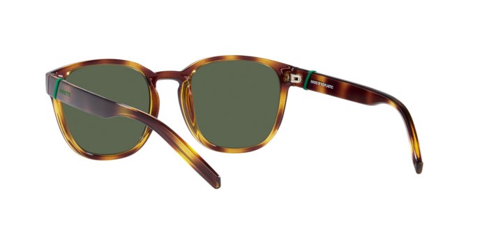 Sonnenbrillen Arnette Barranco AN 4319 (27709A) farbe havana scuro form pantos gläser verde scuro polarizzata