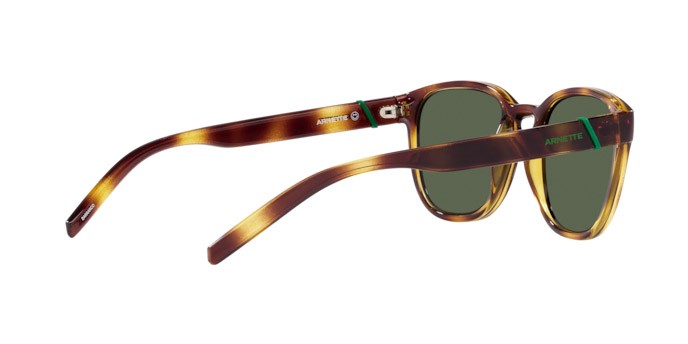 Sonnenbrillen Arnette Barranco AN 4319 (27709A) farbe havana scuro form pantos gläser verde scuro polarizzata