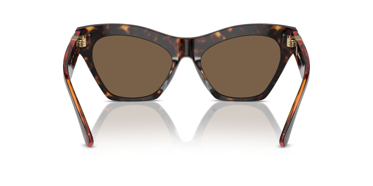 Sunglasses Burberry BE 4420U (300273) color havana scuro shape cat eye lenses marrone scuro