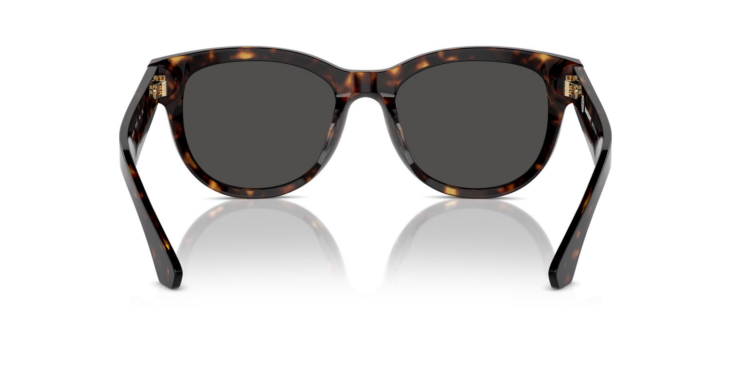 Sunglasses Burberry BE 4432U (300287) color havana scuro shape pantos lenses grigio scuro