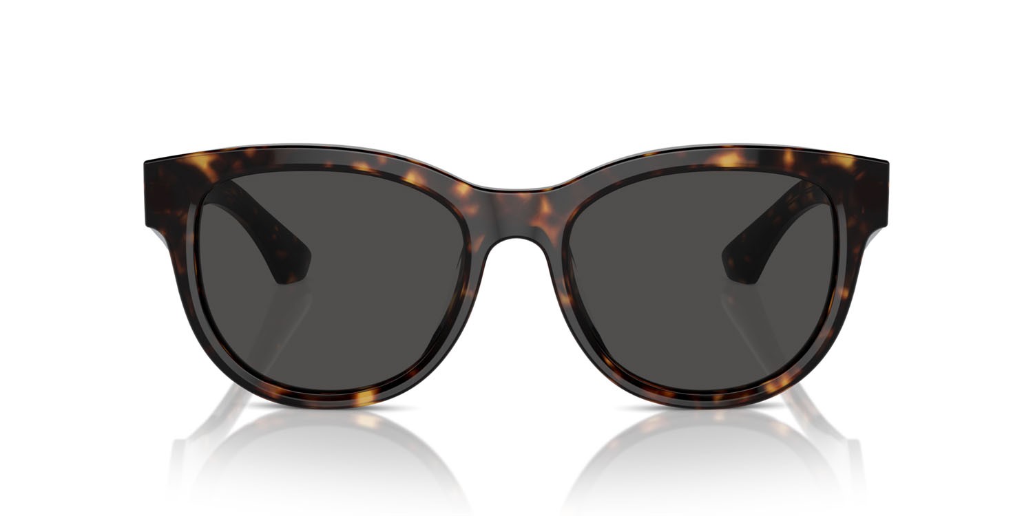 Sunglasses Burberry BE 4432U (300287) color havana scuro shape pantos lenses grigio scuro