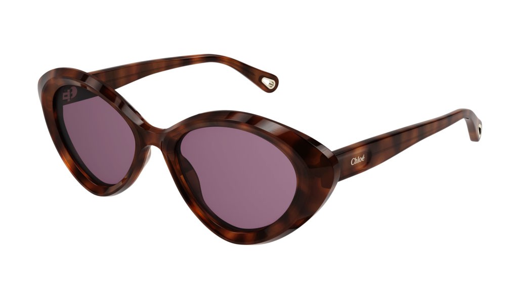 Sonnenbrillen Chloé CH0050S-005 farbe havana form cat-eye gläser violet