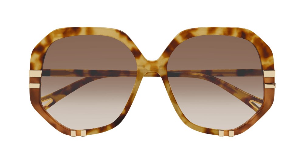 Occhiali da sole Chloé CH0105S-005 colore havana forma geometrico lenti marrone
