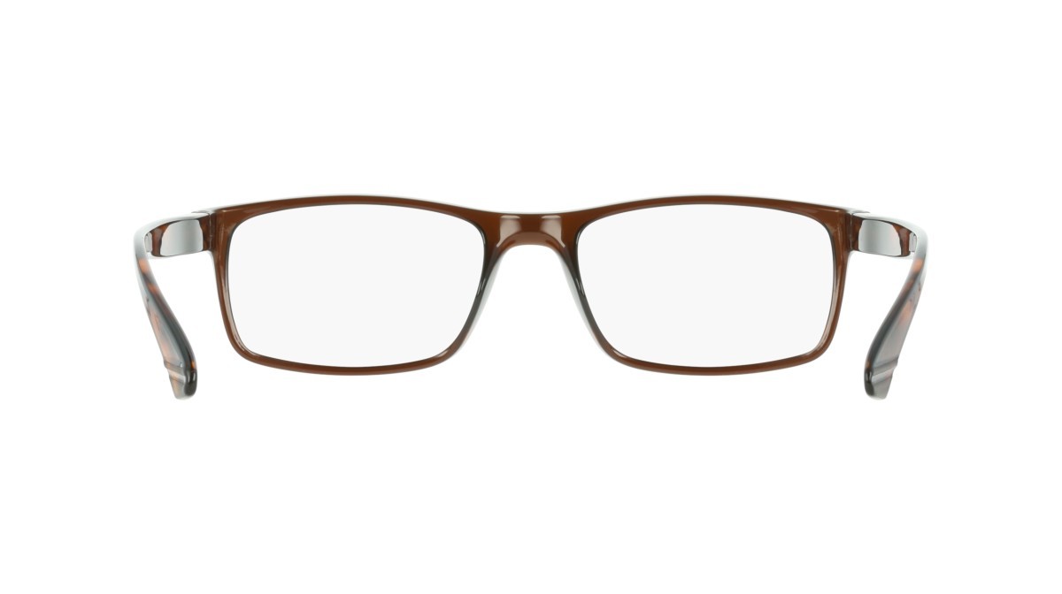 Eyeglasses Calvin Klein CK19569N (200) color transparent brown shape rectangle 