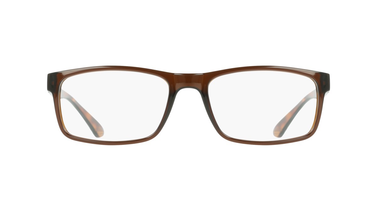 Eyeglasses Calvin Klein CK19569N (200) color transparent brown shape rectangle 