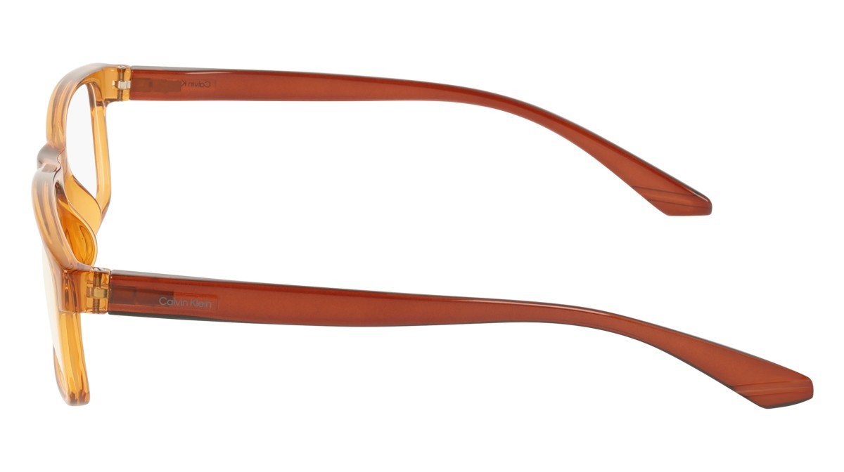 Eyeglasses Calvin Klein CK19569N (201) color transparent light brown shape rectangle 