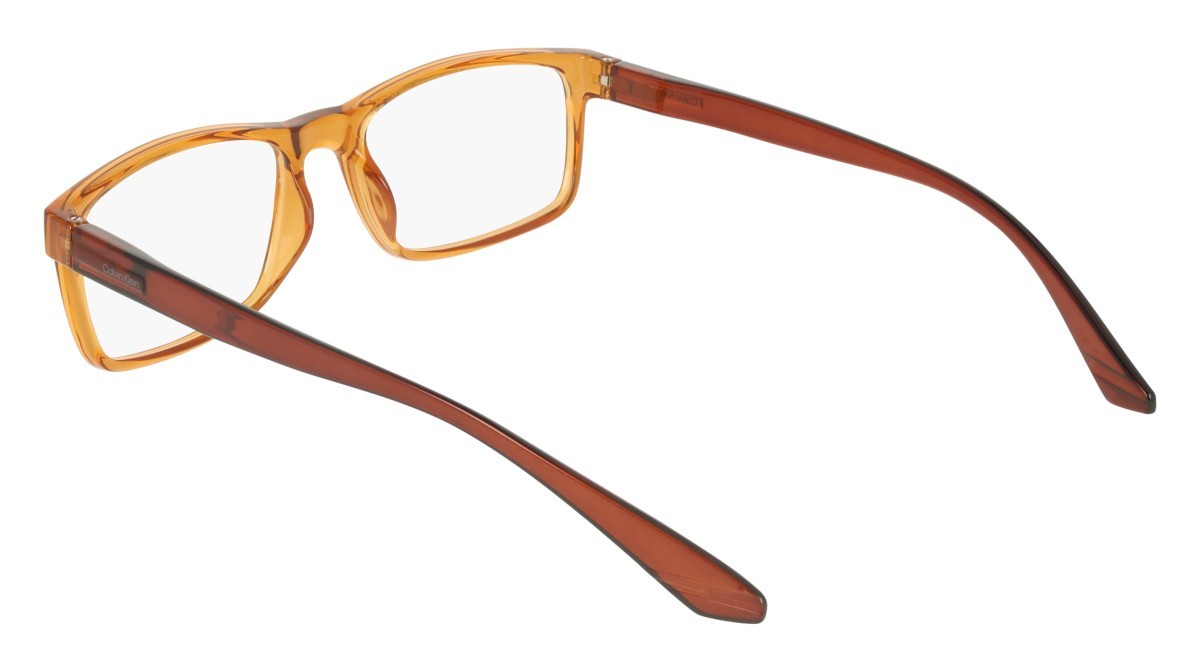 Eyeglasses Calvin Klein CK19569N (201) color transparent light brown shape rectangle 