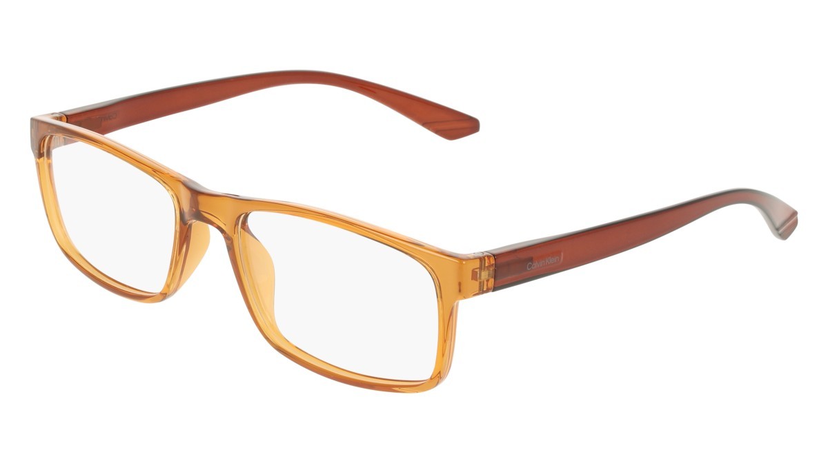 Eyeglasses Calvin Klein CK19569N (201) color transparent light brown shape rectangle 