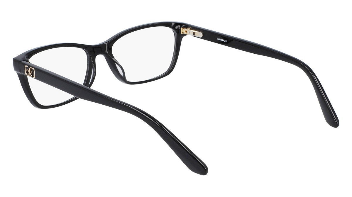 Brillen Calvin Klein CK20530 (001) farbe black form rechteckig 