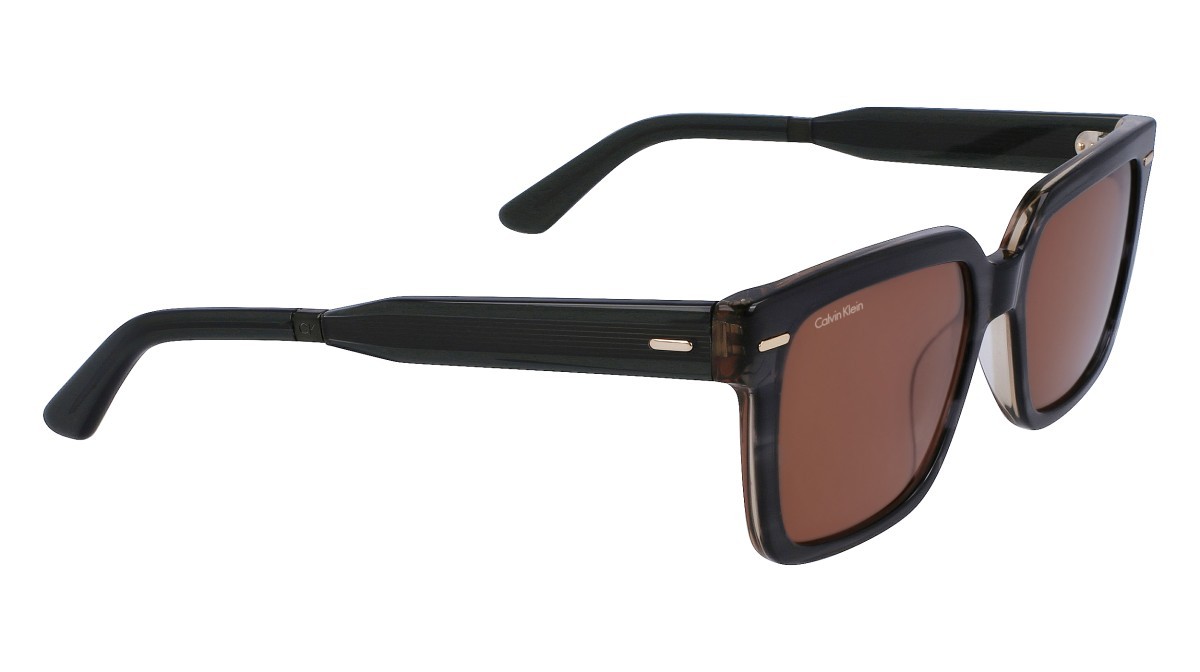 Sonnenbrillen Calvin Klein CK22535S (023) farbe striped grey form rechteckig gläser solid caramel