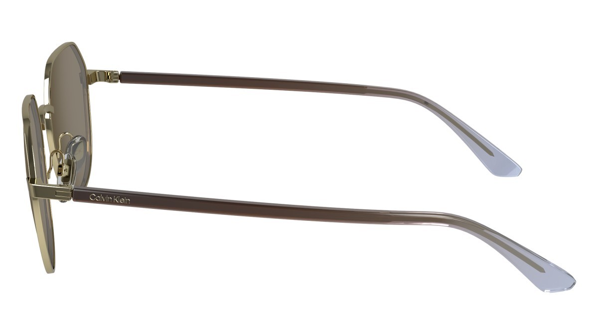 Sonnenbrillen Calvin Klein CK23125S (717) farbe gold form pantos gläser solid brown