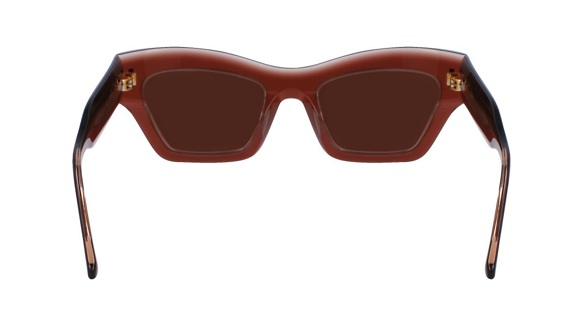Sonnenbrillen Calvin Klein CK23503S (601) farbe rose form schmetterling gläser solid brown