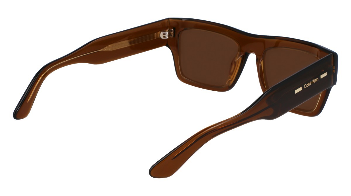 Sonnenbrillen Calvin Klein CK23504S (200) farbe brown form quadratisch gläser solid brown