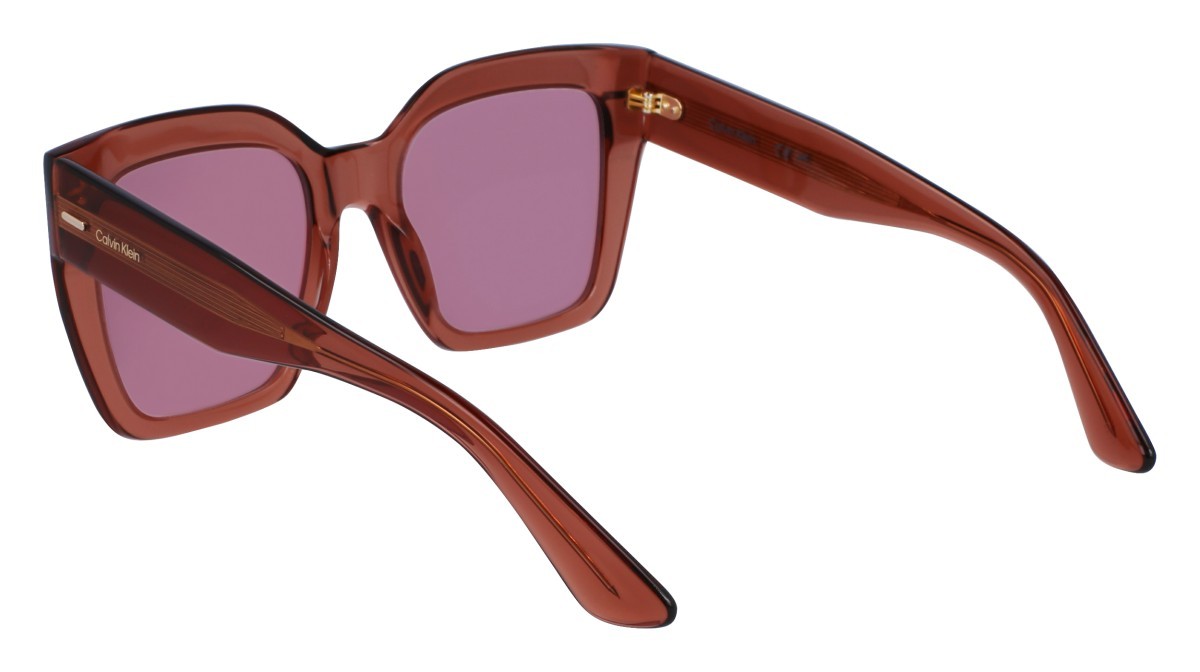 Sunglasses Calvin Klein CK23508S N (200) color brown shape rectangle 