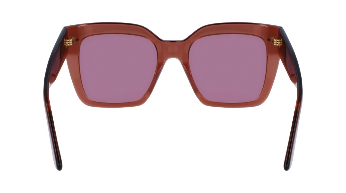 Sunglasses Calvin Klein CK23508S N (200) color brown shape rectangle 