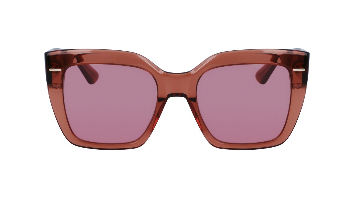 Sunglasses Calvin Klein CK23508S N (200) color brown shape rectangle 