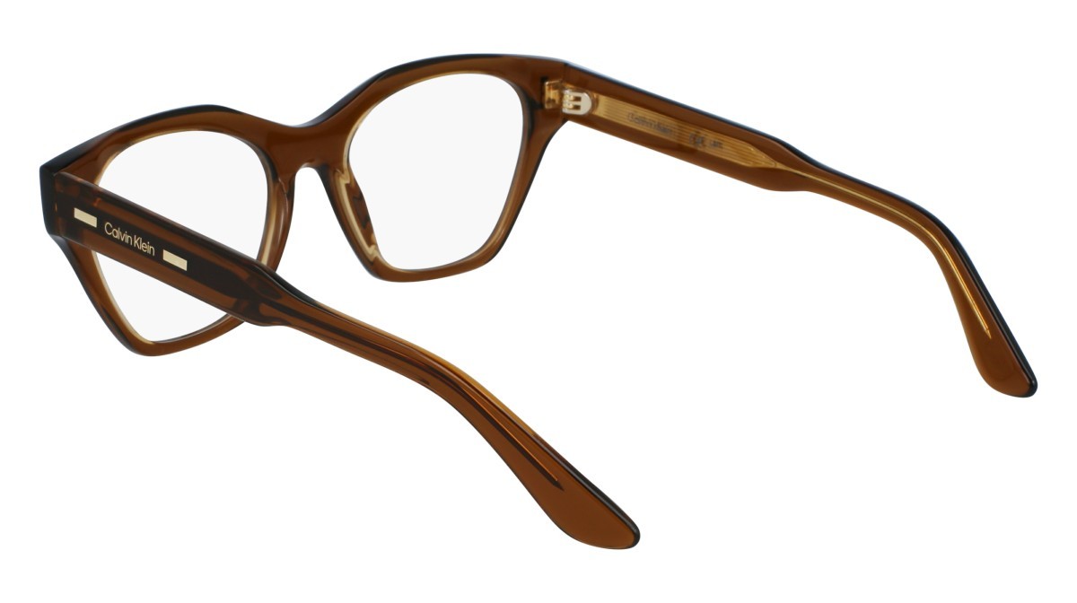 Brillen Calvin Klein CK23518 (200) farbe brown form rechteckig 