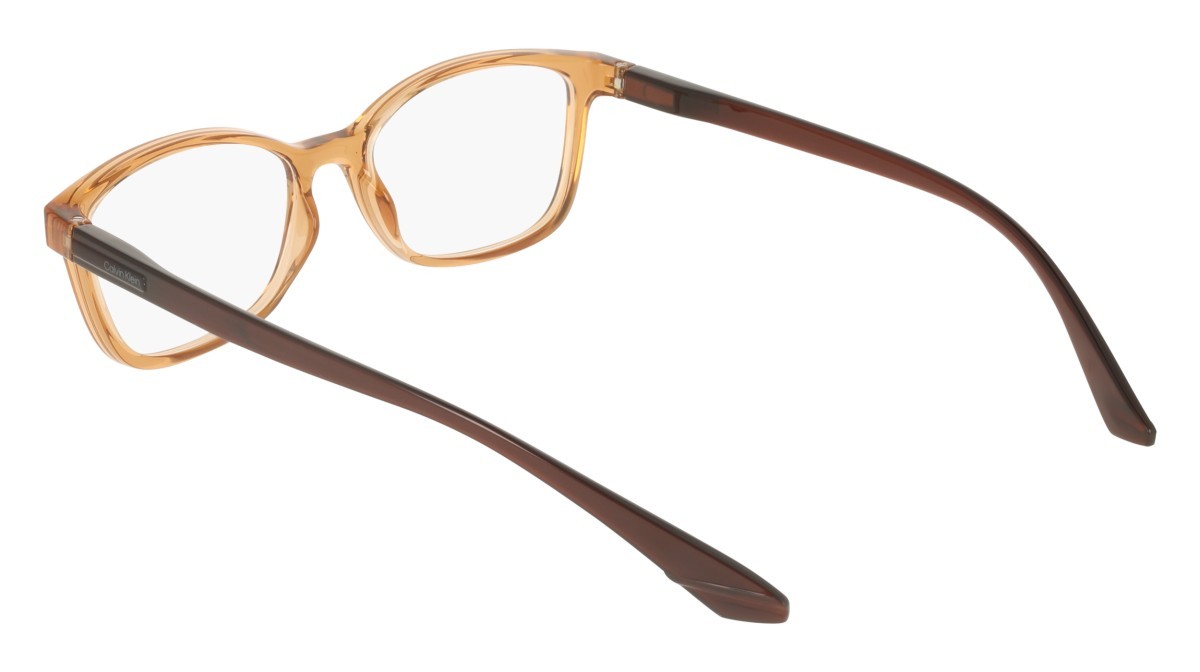 Eyeglasses Calvin Klein CK23525N (209) color transparent beige shape rectangle 