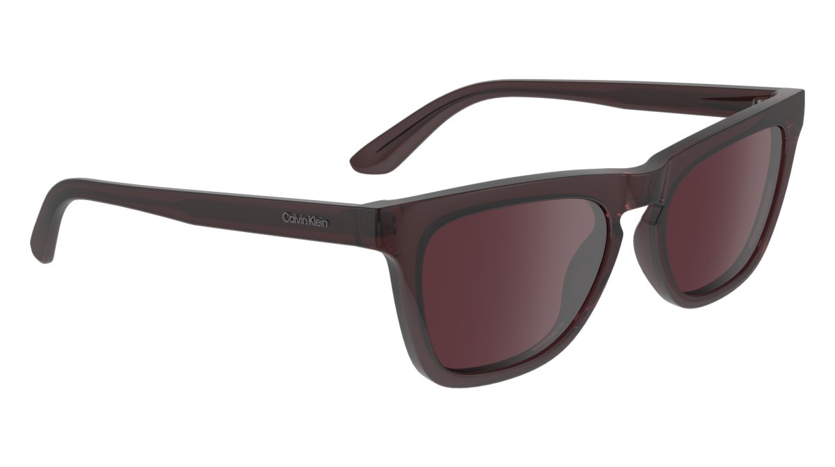 Sonnenbrillen Calvin Klein CK23535S (515) farbe violet form schmetterling gläser solid violet