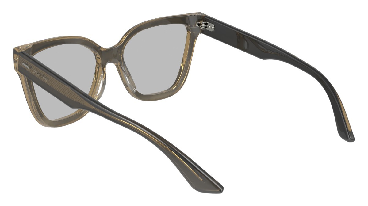 Brillen Calvin Klein CK23543 (023) farbe striped grey form schmetterling 