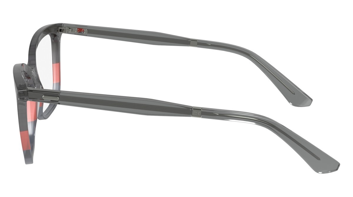 Brillen Calvin Klein CK23545 (029) farbe striped grey/coral/grey form rechteckig 