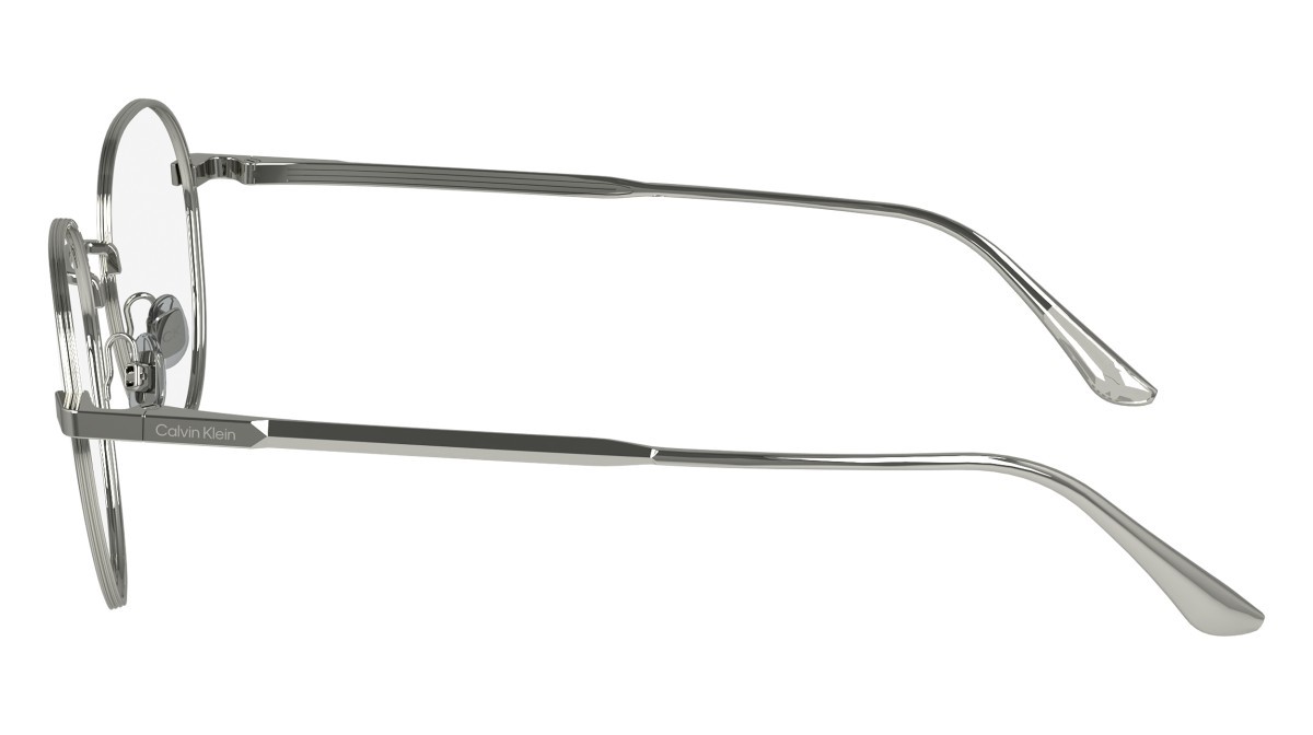 Brillen Calvin Klein CK24101 (045) farbe silver form pantos 