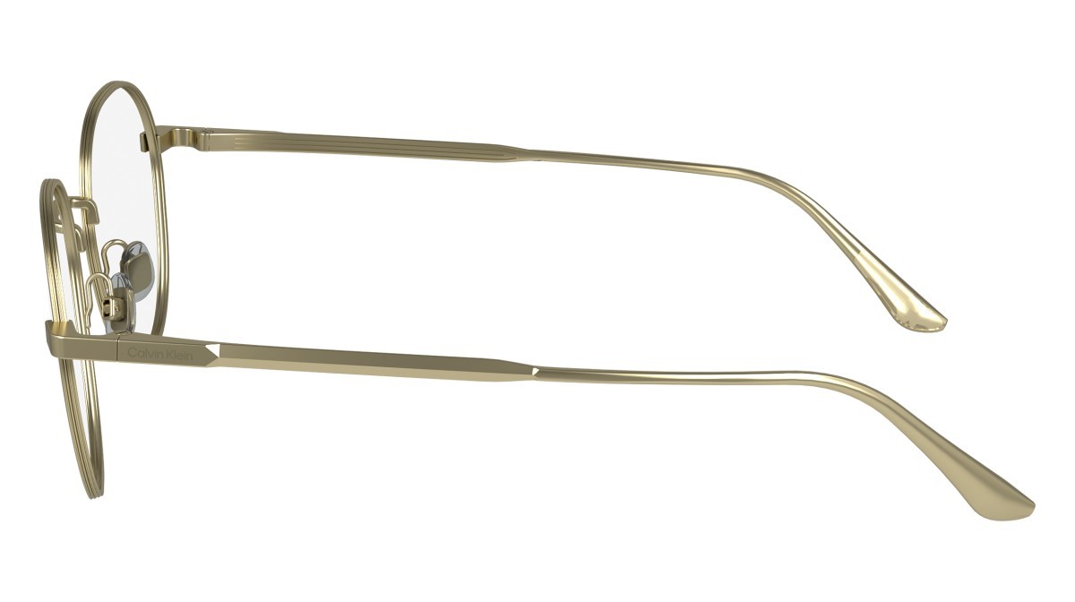 Eyeglasses Calvin Klein CK24101 (720) color matte gold shape pantos 