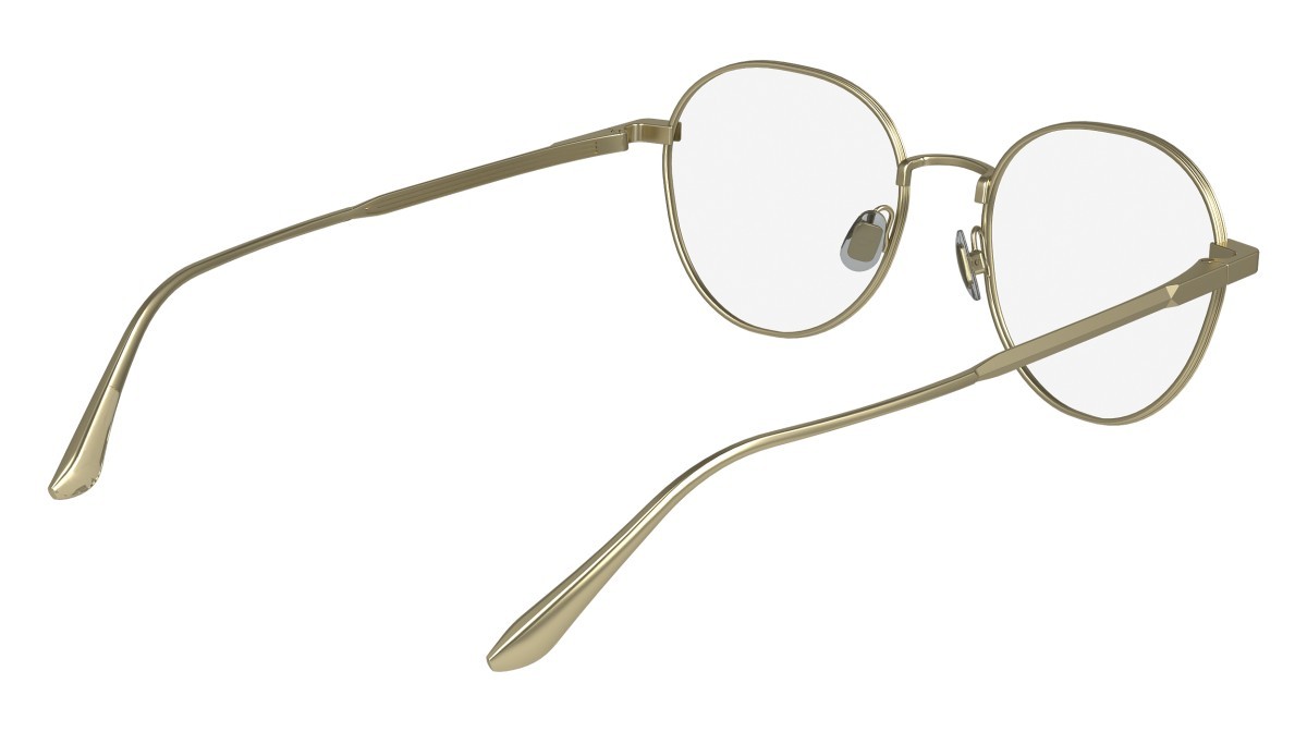 Eyeglasses Calvin Klein CK24101 (720) color matte gold shape pantos 