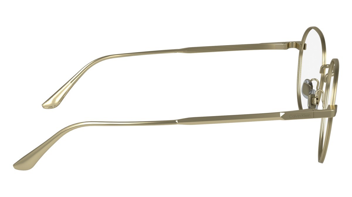 Eyeglasses Calvin Klein CK24101 (720) color matte gold shape pantos 