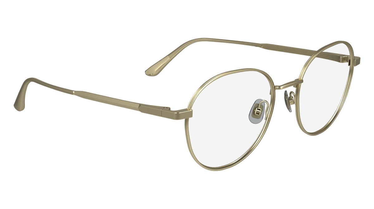 Eyeglasses Calvin Klein CK24101 (720) color matte gold shape pantos 