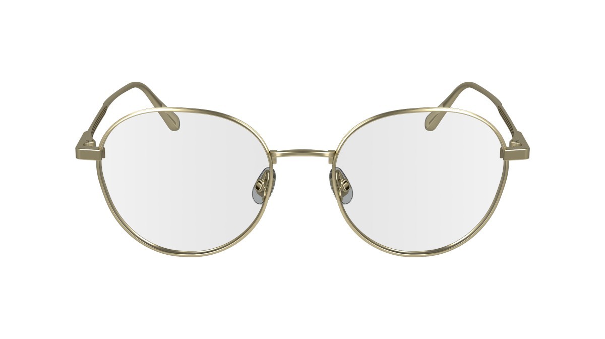 Eyeglasses Calvin Klein CK24101 (720) color matte gold shape pantos 