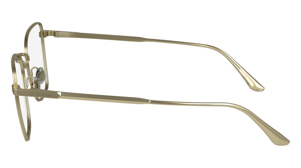 Eyeglasses Calvin Klein CK24102N (720) color matte gold shape rectangle 
