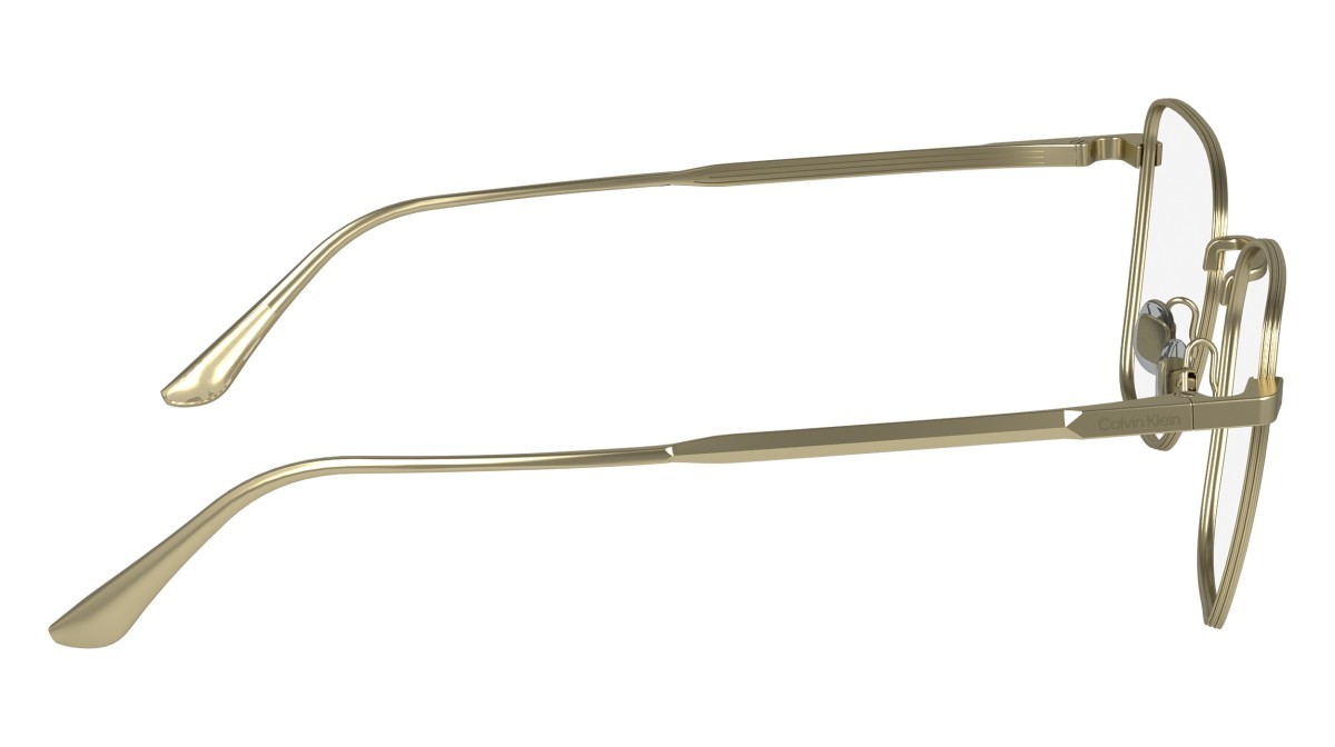 Eyeglasses Calvin Klein CK24102N (720) color matte gold shape rectangle 