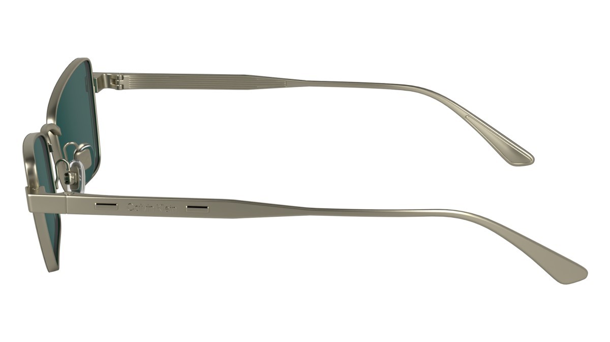 Sunglasses Calvin Klein CK24110S (716) color matte light gold shape butterfly lenses solid green