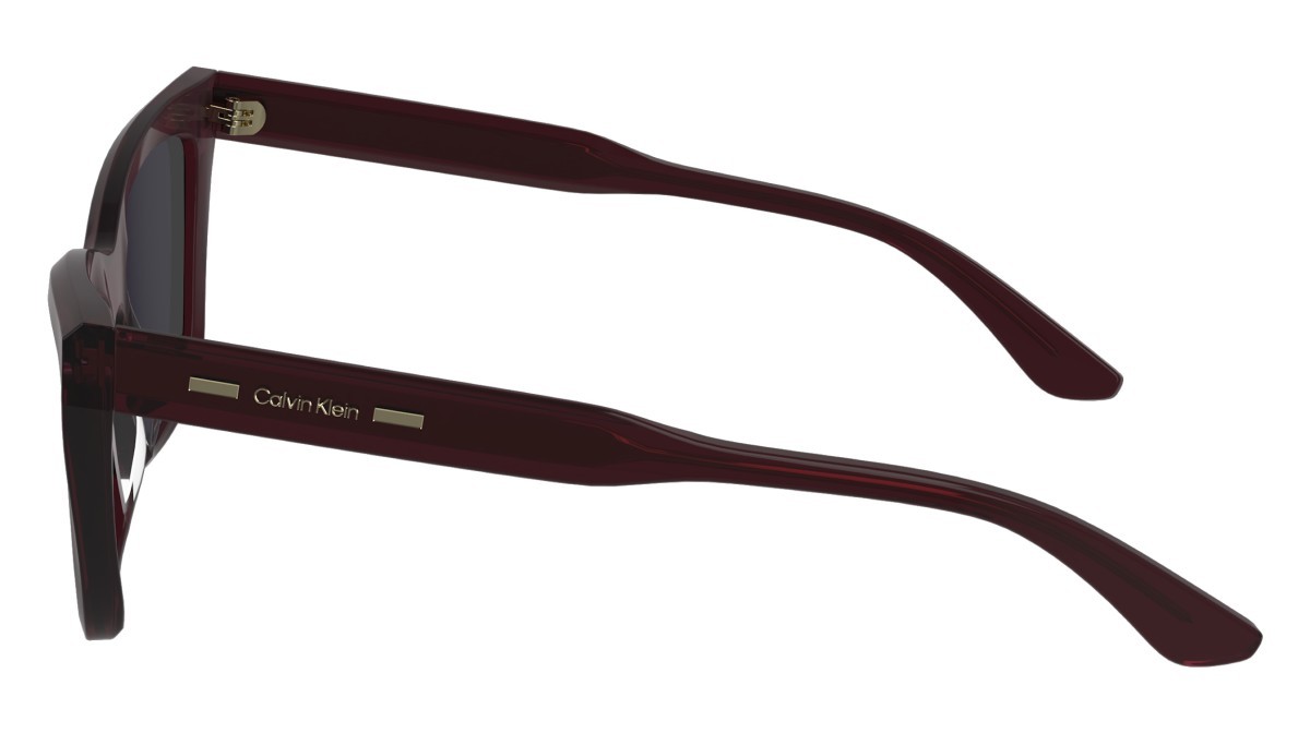 Sonnenbrillen Calvin Klein CK24505S (605) farbe burgundy form schmetterling gläser solid violet