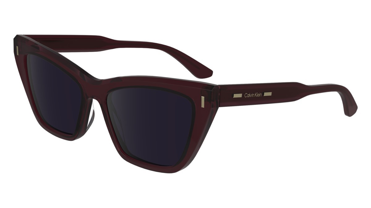 Sonnenbrillen Calvin Klein CK24505S (605) farbe burgundy form schmetterling gläser solid violet