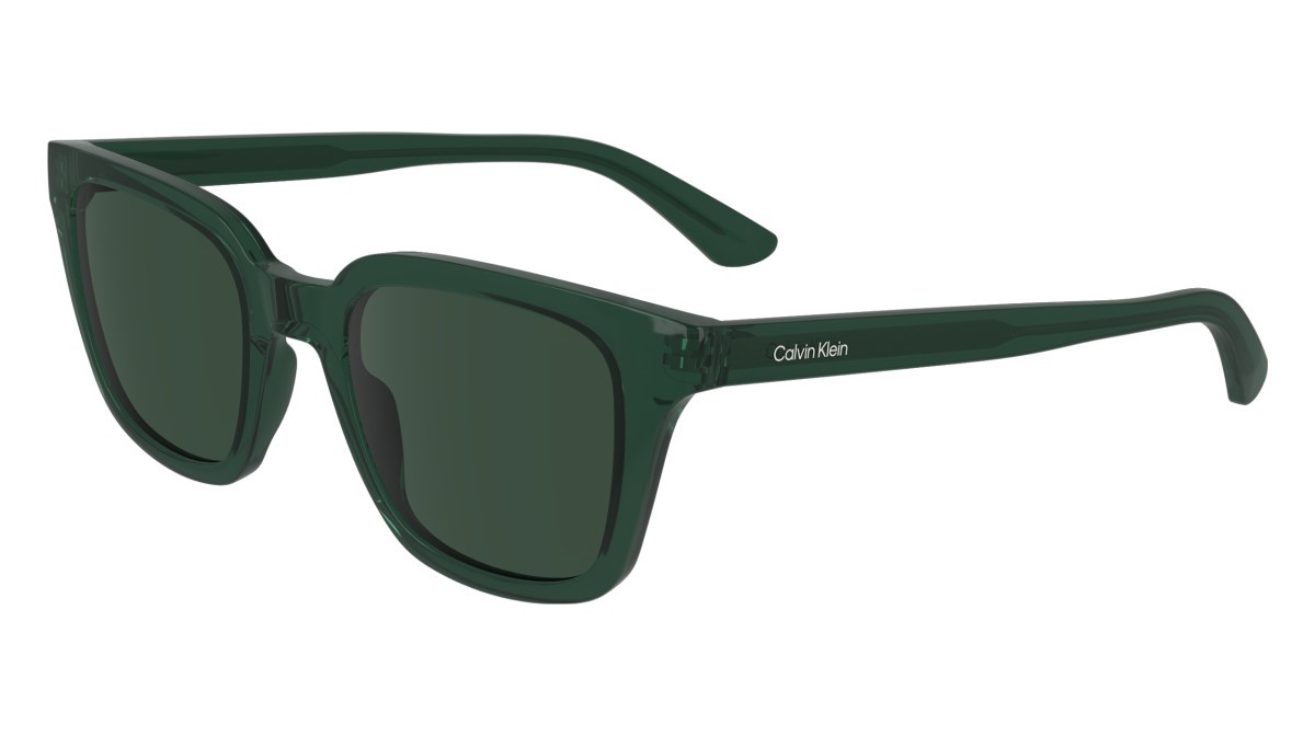 Sonnenbrillen Calvin Klein CK24506S (300) farbe green form rechteckig gläser solid green