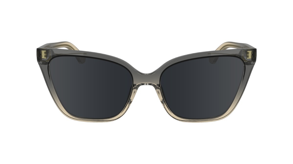 Sunglasses Calvin Klein CK24507S (039) color grey/beige shape cat eye lenses solid grey
