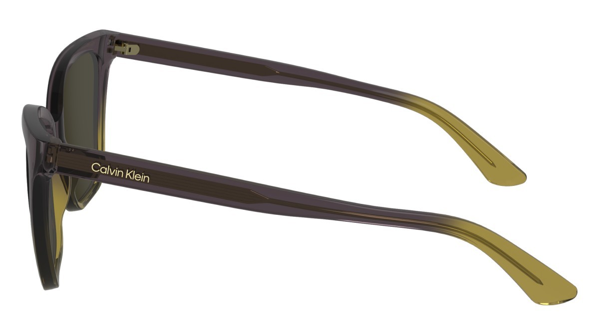 Sunglasses Calvin Klein CK24507S (516) color violet/beige shape cat eye lenses solid brown