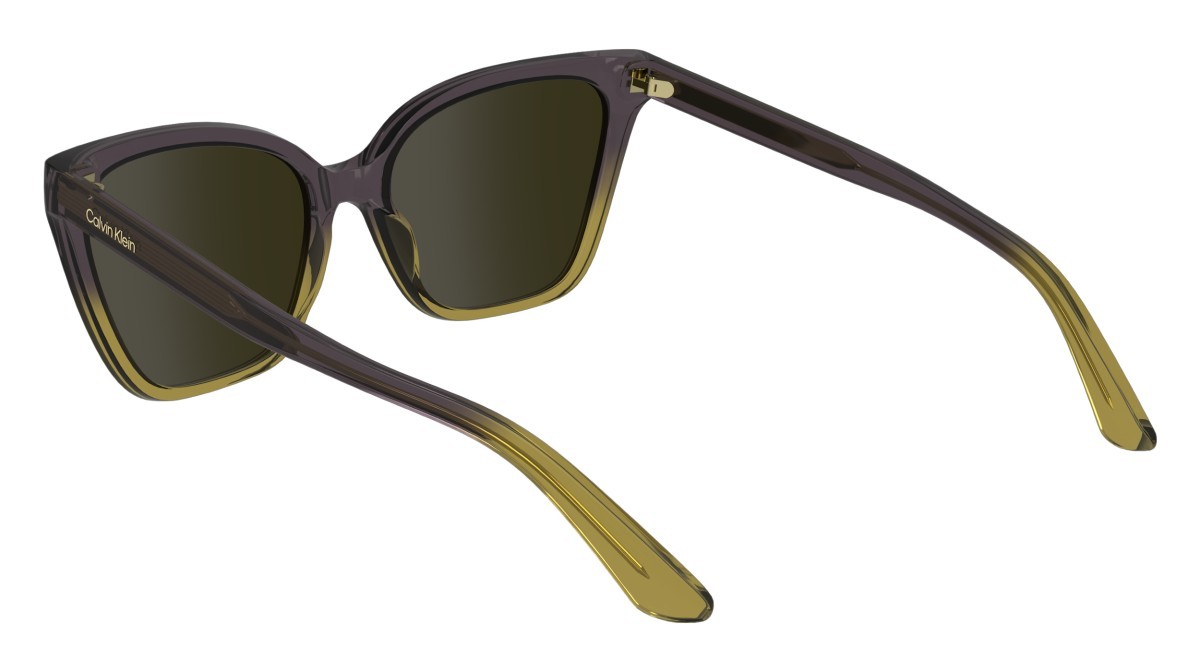 Sunglasses Calvin Klein CK24507S (516) color violet/beige shape cat eye lenses solid brown