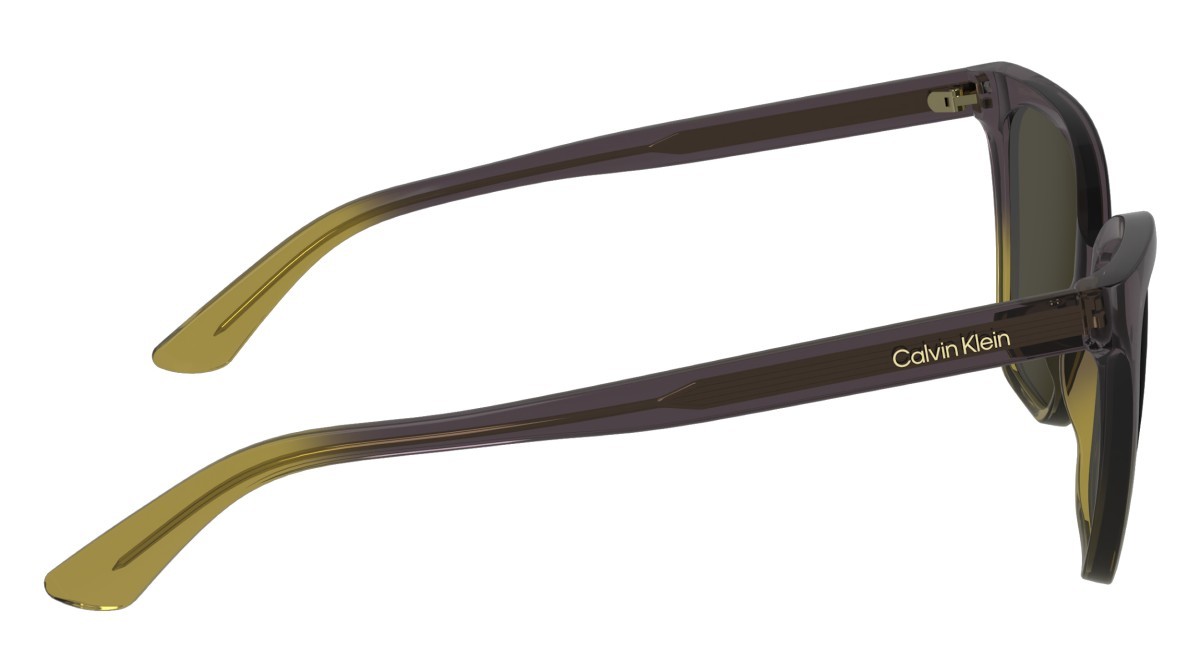 Sunglasses Calvin Klein CK24507S (516) color violet/beige shape cat eye lenses solid brown