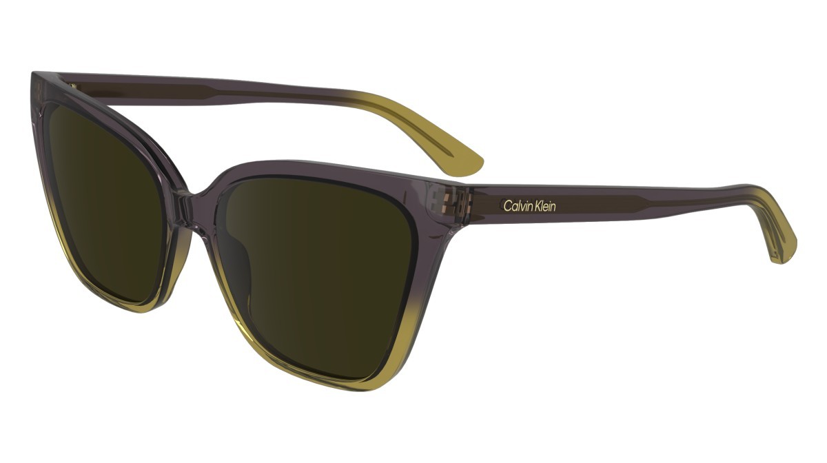Sunglasses Calvin Klein CK24507S (516) color violet/beige shape cat eye lenses solid brown