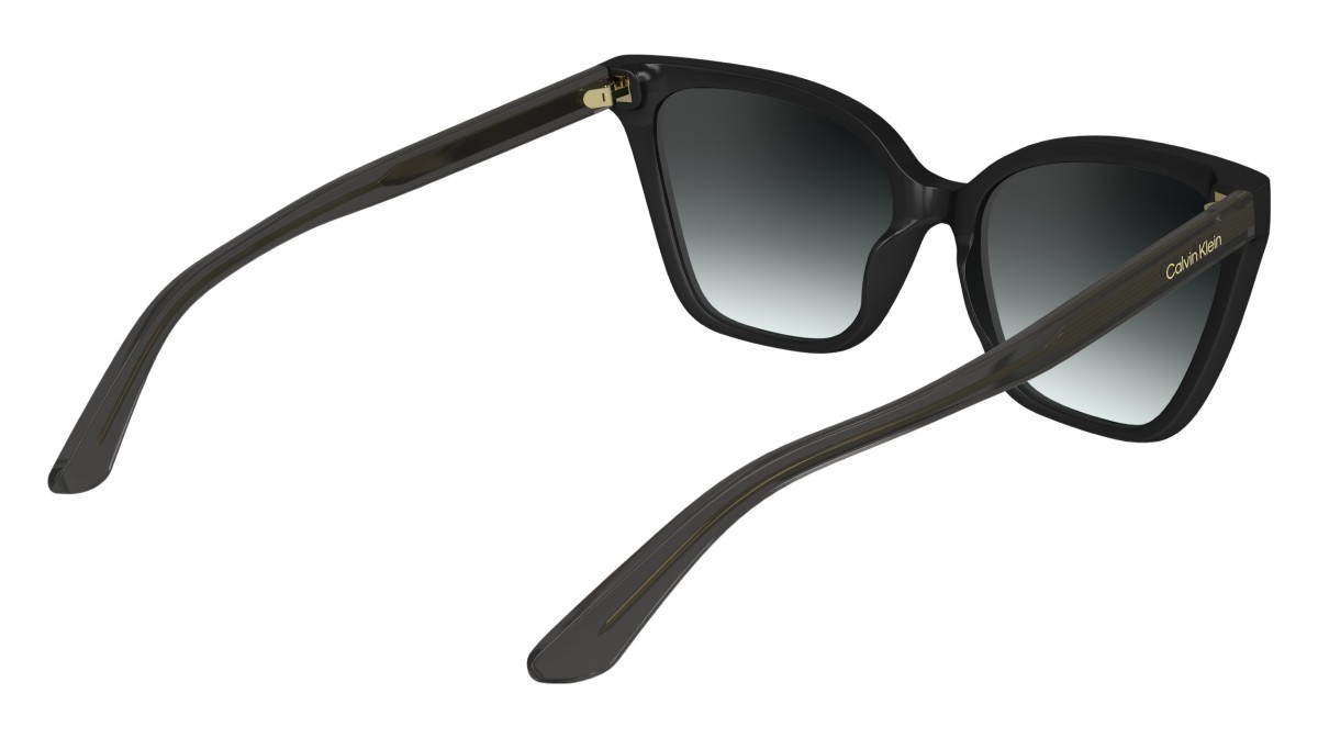 Sunglasses Calvin Klein CK24507S N (001) color black shape cat eye 