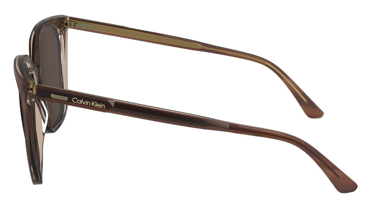 Sunglasses Calvin Klein CK24509S (203) color striped brown/rose shape rectangle lenses solid wine