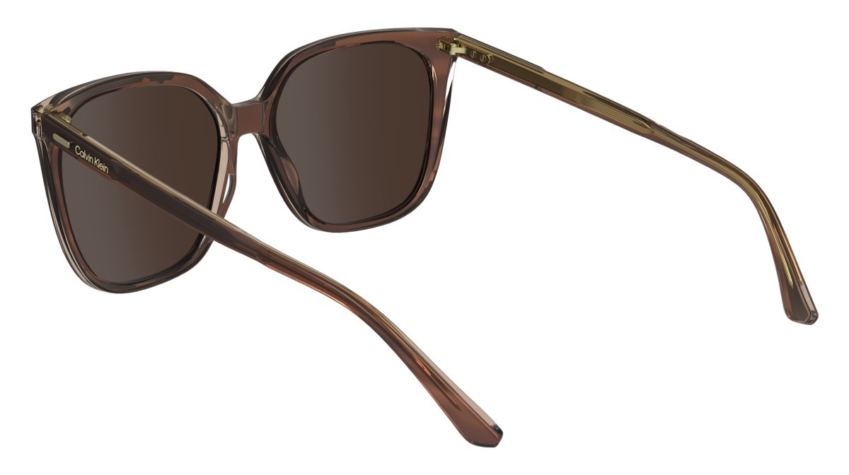 Sunglasses Calvin Klein CK24509S (203) color striped brown/rose shape rectangle lenses solid wine