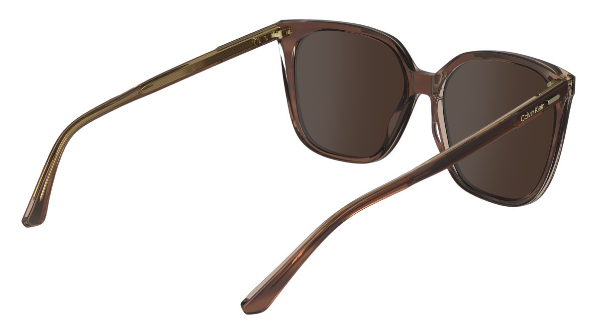 Sunglasses Calvin Klein CK24509S (203) color striped brown/rose shape rectangle lenses solid wine